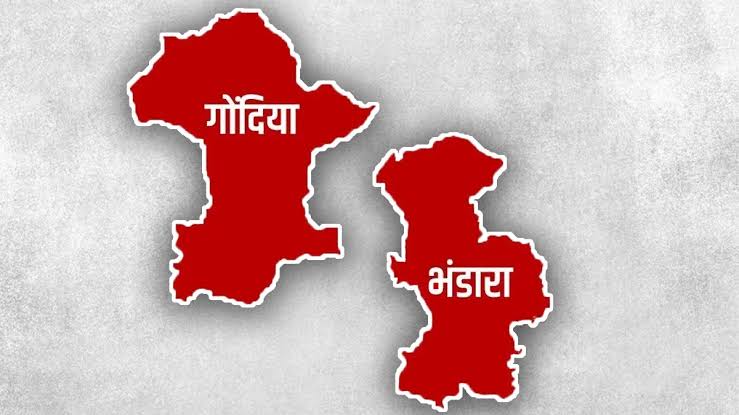 भंडारा-गोंदिया लोकसभा क्षेत्रात मतदार जनजागृती प्रसार मोहीम नापास   