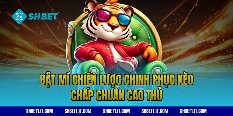 Bật mí chiến lược chinh phục kèo chấp chuẩn cao thủ