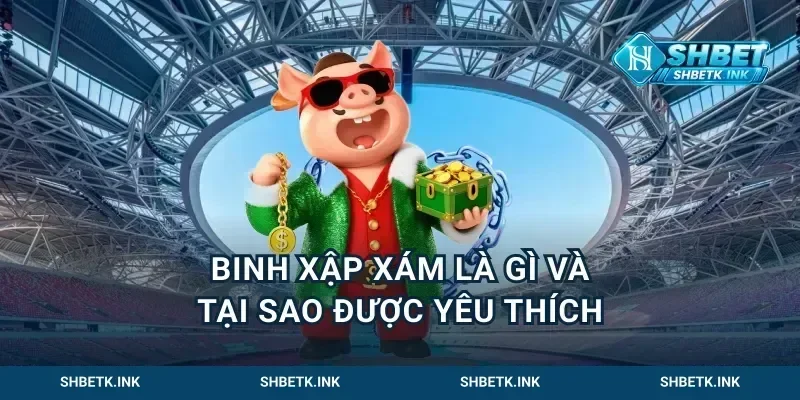 Binh Xập Xám Là Gì Và Tại Sao Được Yêu Thích