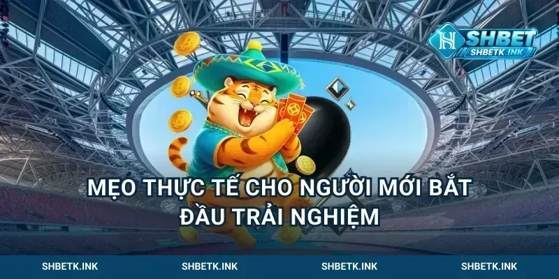 Mẹo Thực Tế Cho Người Mới Bắt Đầu Trải Nghiệm