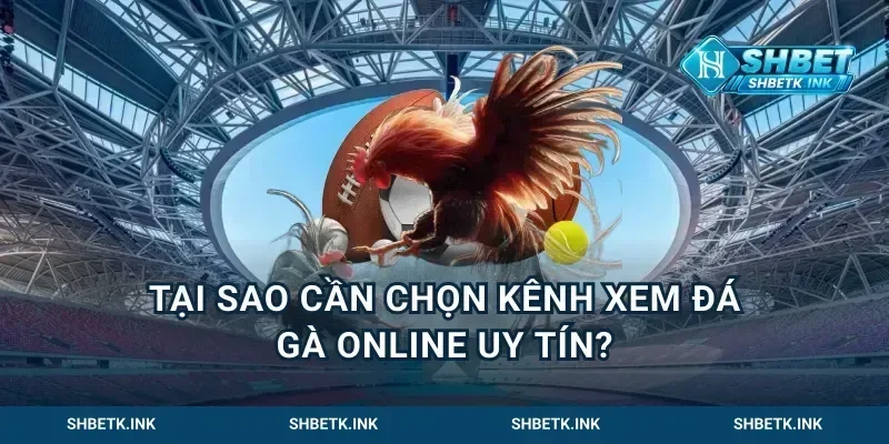 Tại sao cần chọn kênh xem đá gà online uy tín?