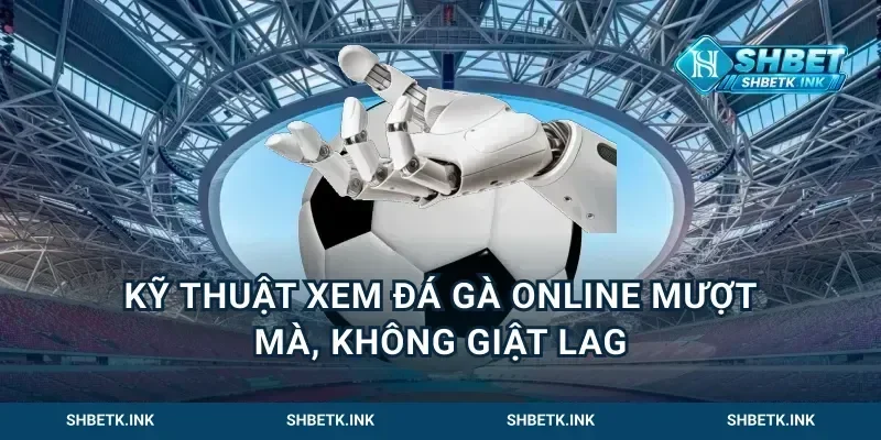 Kỹ thuật xem đá gà online mượt mà, không giật lag