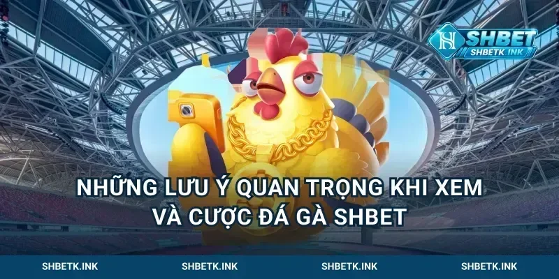 Những lưu ý quan trọng khi xem và cược đá gà Shbet