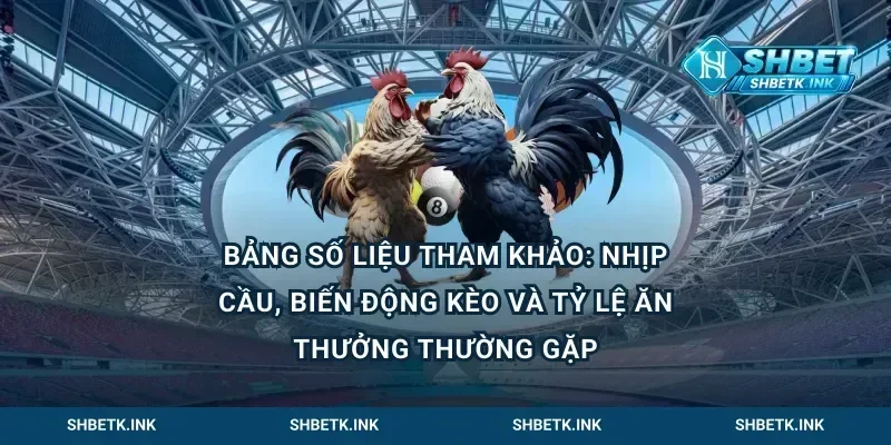 Bảng số liệu tham khảo: nhịp cầu, biến động kèo và tỷ lệ ăn thưởng thường gặp