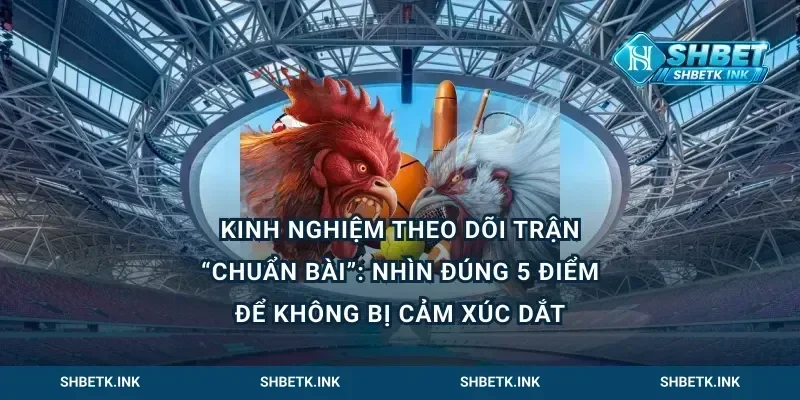 Kinh nghiệm theo dõi trận “chuẩn bài”: nhìn đúng 5 điểm để không bị cảm xúc dắt