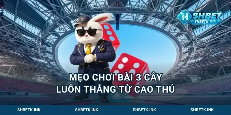 Mẹo đánh bài 3 cây luôn thắng từ cao thủ