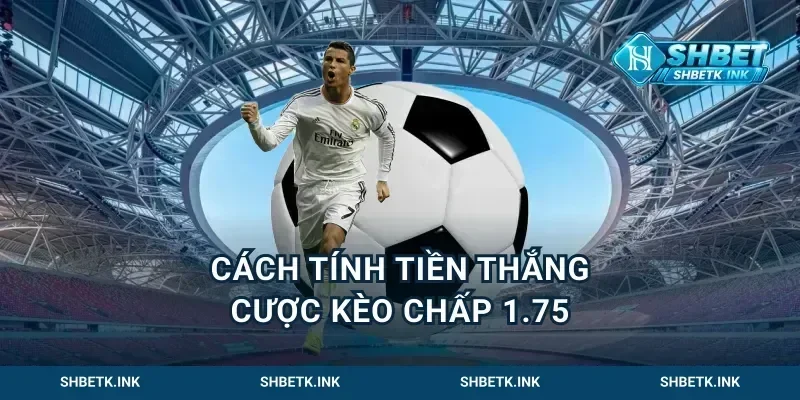Cách tính tiền thắng cược kèo chấp 1.75