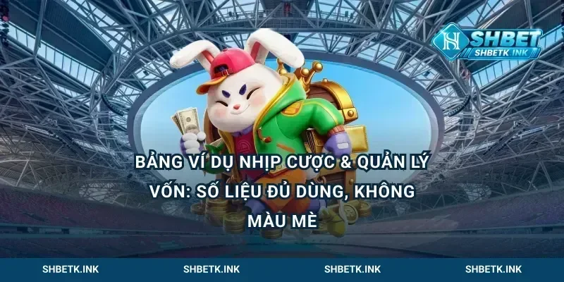 Bảng ví dụ nhịp cược & quản lý vốn: số liệu đủ dùng, không màu mè