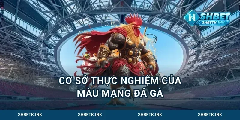 Cơ sở thực nghiệm của màu mạng đá gà