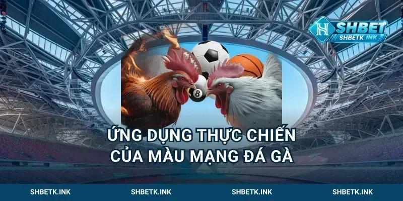 Ứng dụng thực chiến của màu mạng đá gà
