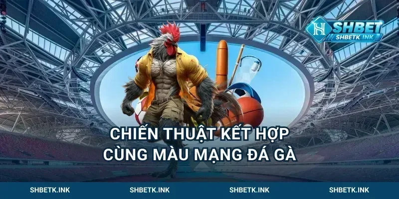 Chiến thuật kết hợp cùng màu mạng đá gà