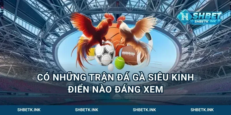Có Những Trận Đá Gà Siêu Kinh Điển Nào Đáng Xem