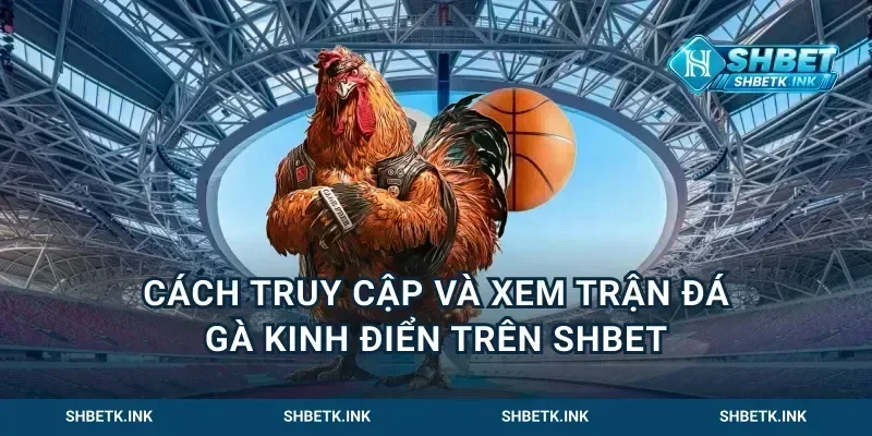 Cách Truy Cập Và Xem Trận Đá Gà Kinh Điển Trên Shbet