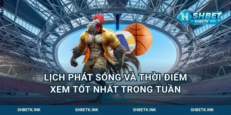 Lịch Phát Sóng Và Thời Điểm Xem Tốt Nhất Trong Tuần