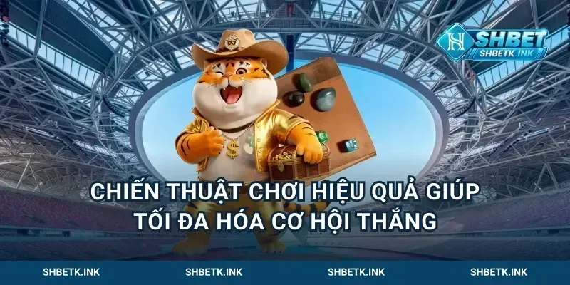 Chiến Thuật Chơi Hiệu Quả Giúp Tối Đa Hóa Cơ Hội Thắng