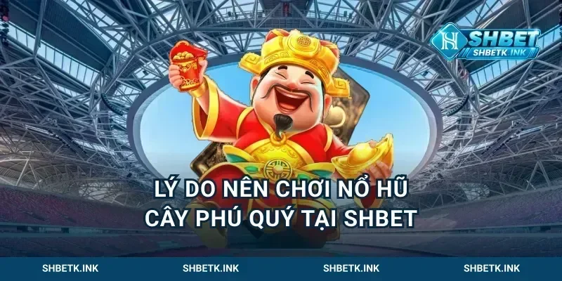 Lý Do Nên Chơi Nổ Hũ Cây Phú Quý Tại Shbet