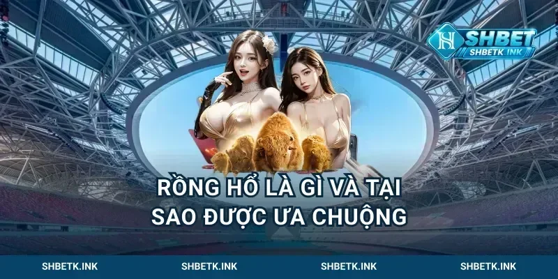 Rồng Hổ Là Gì Và Tại Sao Được Ưa Chuộng