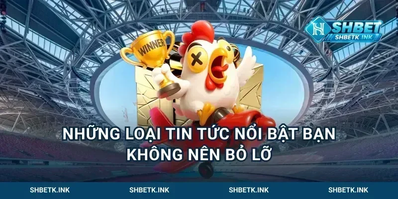 Những loại tin tức nổi bật bạn không nên bỏ lỡ