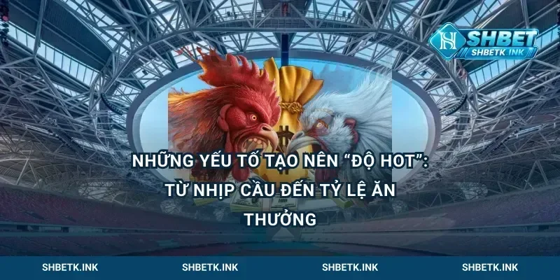 Những yếu tố tạo nên “độ hot”: từ nhịp cầu đến tỷ lệ ăn thưởng