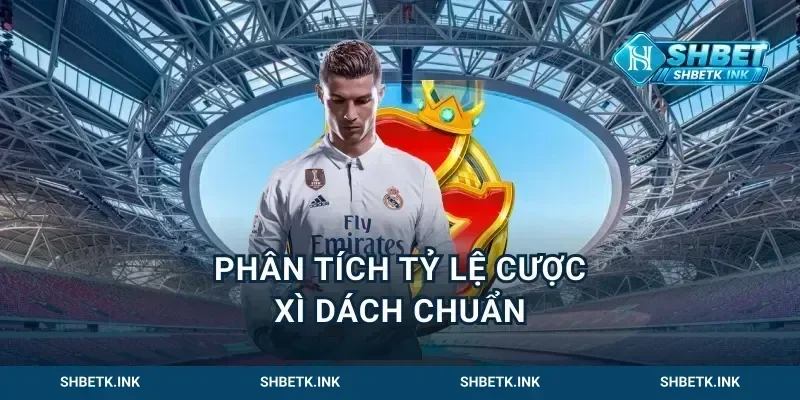 Phân tích tỷ lệ cược xì dách chuẩn
